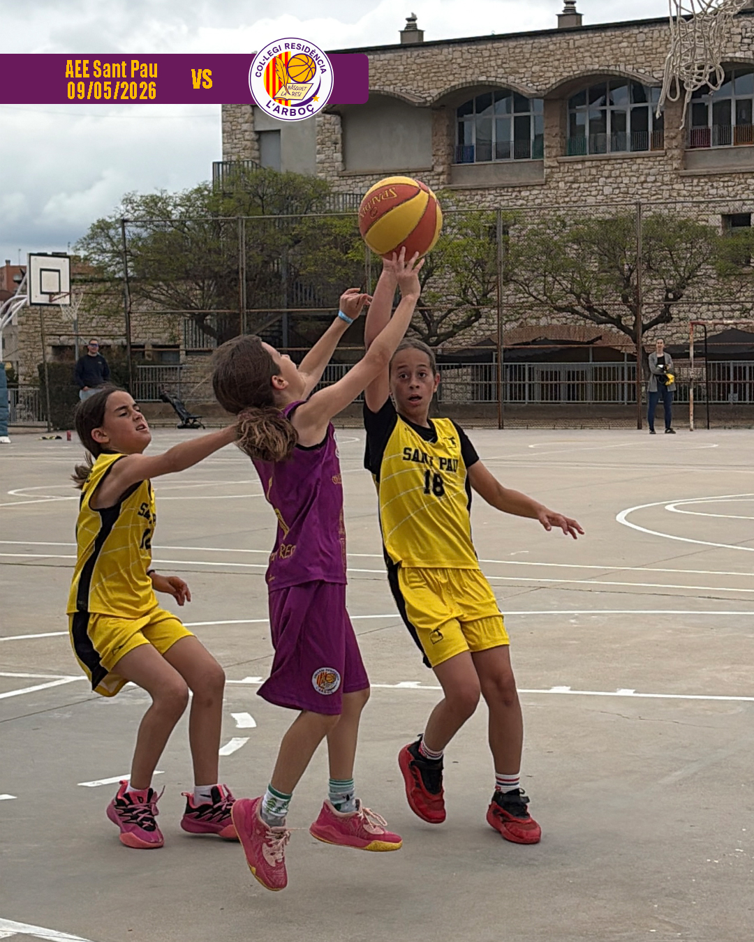 basquet_arbocenc_resi_aee_sant_pau_13 basquet_arbocenc_resi_aee_sant_pau_13