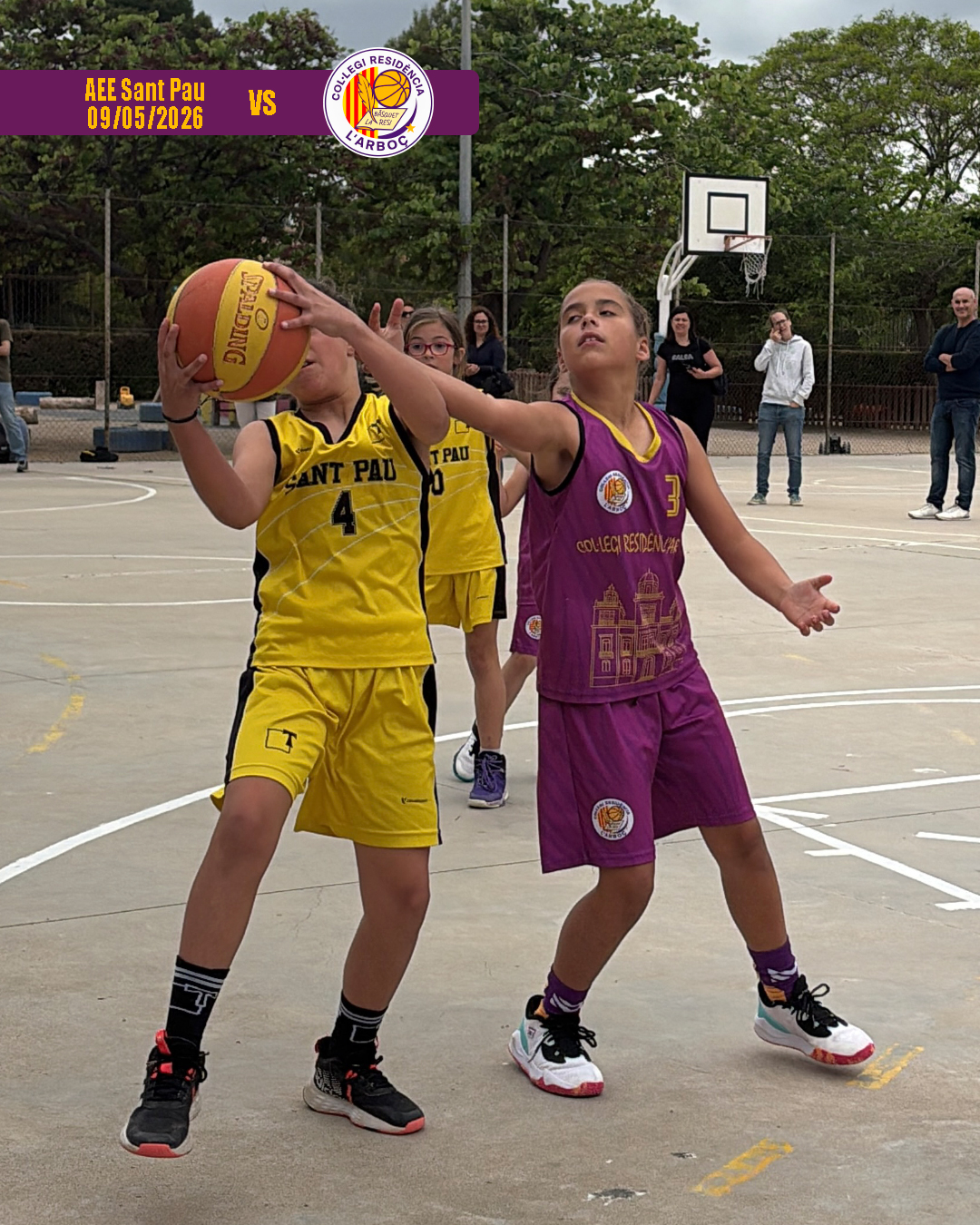 basquet_arbocenc_resi_aee_sant_pau_14 basquet_arbocenc_resi_aee_sant_pau_14