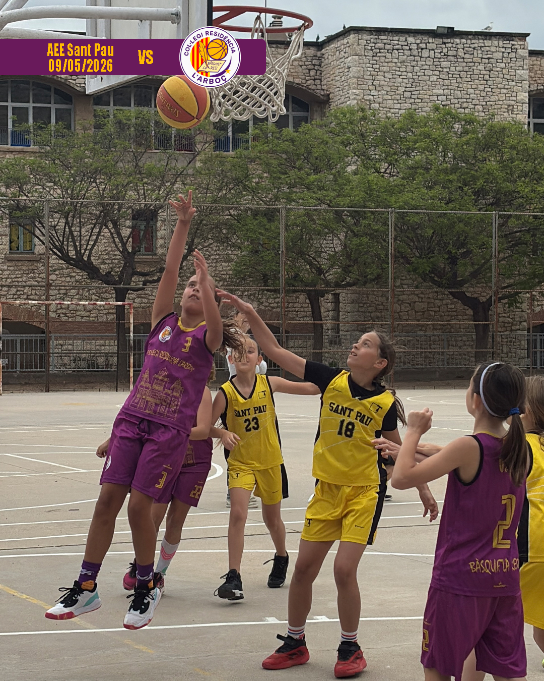 basquet_arbocenc_resi_aee_sant_pau_15 basquet_arbocenc_resi_aee_sant_pau_15