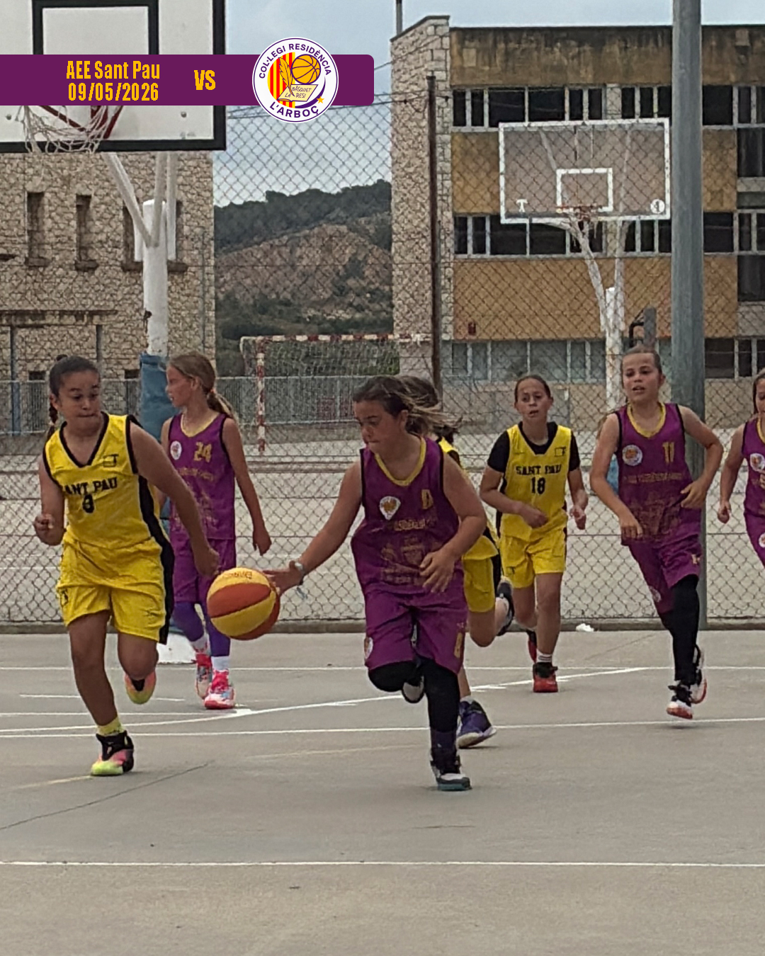 basquet_arbocenc_resi_aee_sant_pau_17 basquet_arbocenc_resi_aee_sant_pau_17